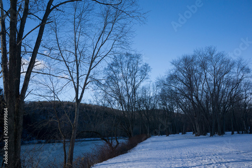 Snow and trees along the Chemung river