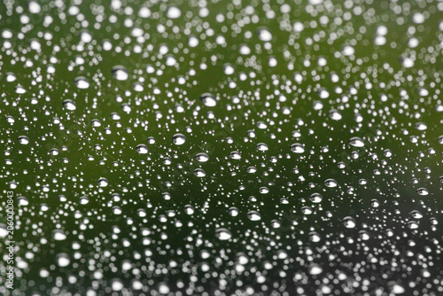 Photos Water droplets on a window with green background