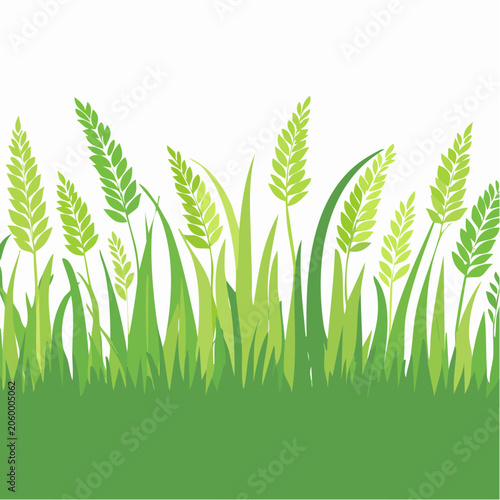 Green Grass and Wheat Field Illustration