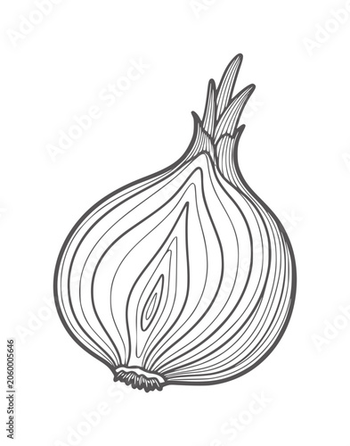 Canvas-taulu Black and white line of a halved onion with layers rings