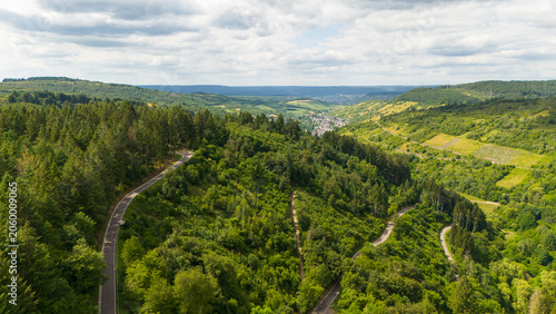 Foto Road through forest in summer, path through coniferous and deciduous trees, rura