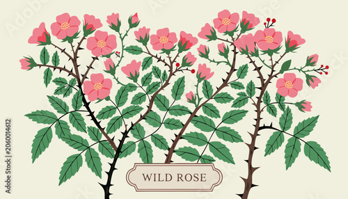 Cuadro en lienzo Very beautiful WILD ROSE BUSH featuring delicate pink blooms, lush green leaves, natural thorny stems, and a decorative label reading WILD ROSE