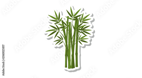 Photos Bamboo plant with green stems.