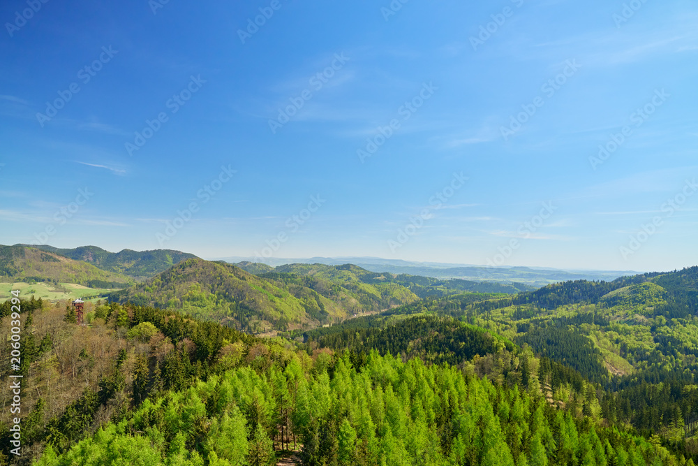 Fototapeta premium Green mountain landscape with forested hills and valley under clear blue sky. Concept of nature travel, outdoor recreation and environment.
