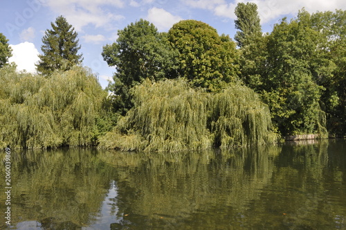 Le Loing in Moret sur Loing