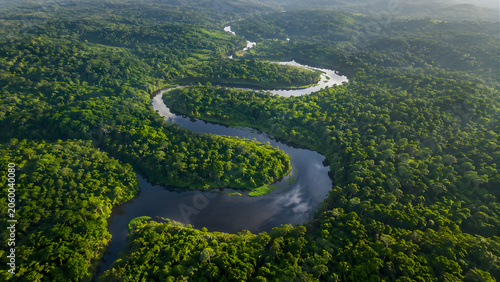 Aerial view of a winding river through a lush green rainforest