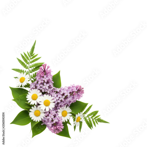 Delicate floral arrangement featuring fragrant purple lilacs and white chamomile daisies with lush green foliage on a transparent background, botanical elegance