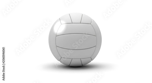 White volleyball with black stitching