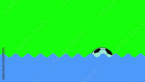 Shark Floating on on Green Screen