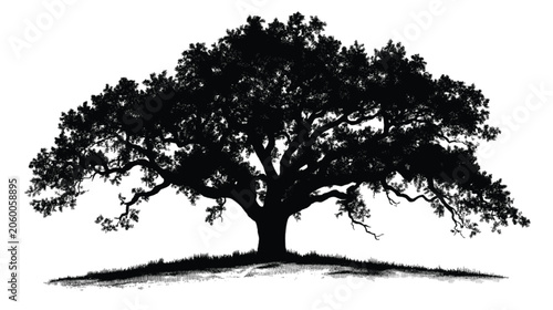 Oak tree silhouette presents a detailed and balanced composition that is ideal for use as a decorative element in diverse marketing and advertising materials.