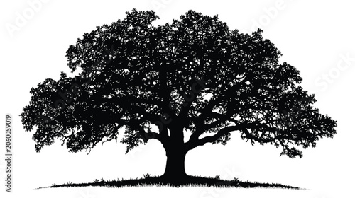 Oak tree silhouette displays a majestic and sturdy structure that serves as a powerful symbol for growth and stability in corporate or environmental communications.