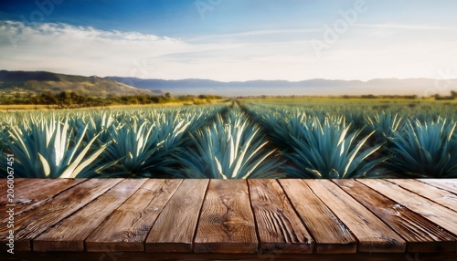 Wooden Rustic Empty Table For Placing Products Against The Background Of A Field With Agave Plants For The Production Of Tequila