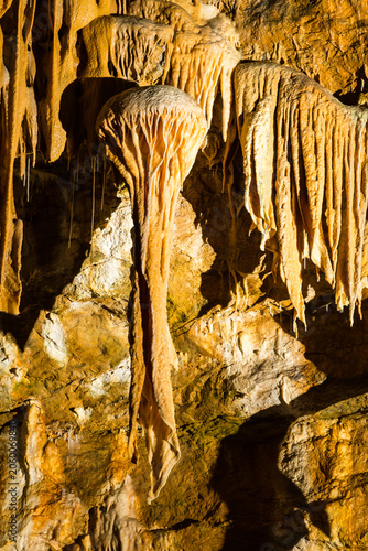 Concrétions imitant une méduse dans une grotte développées au contact de dolomies et du calcaire. Grotte de Trabuc, grotte aux 100 000 soldats, Mialet proche Anduze, Cévennes, Gard