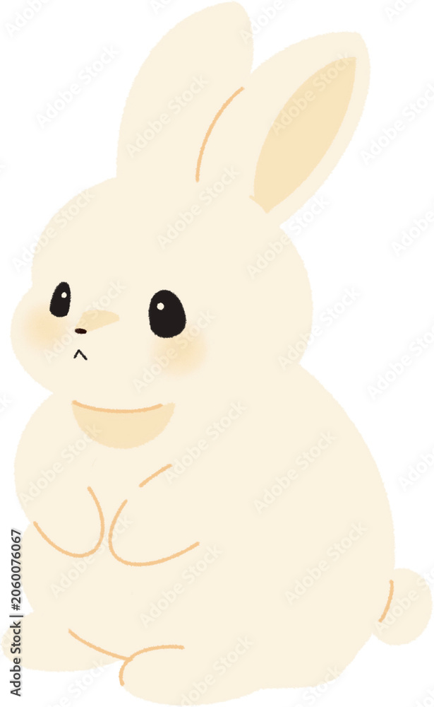 Fototapeta premium Rabbit