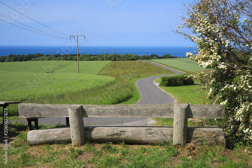 A wooden bench with a panoramic view of the Baltic Sea in the north of the island of Rügen, Baltic Sea – Germany.