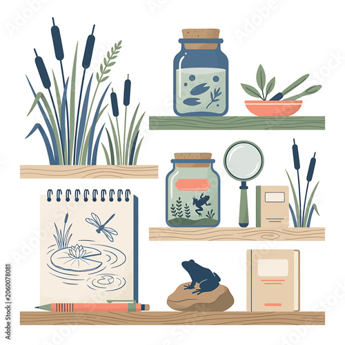 Frog on a Shelf with Plants.