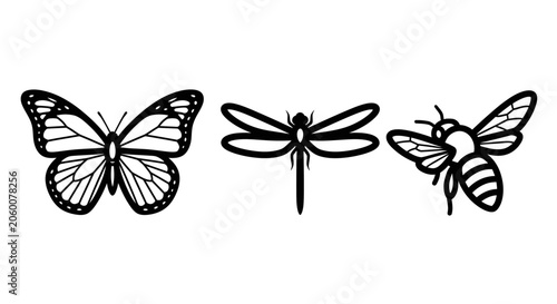 Three detailed line art illustrations of a butterfly dragonfly and bee on a white background