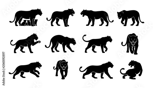 Canvas Print Black Panther Silhouette Collection, Wild Cat Vector Icons, Big Cat Poses, Felin