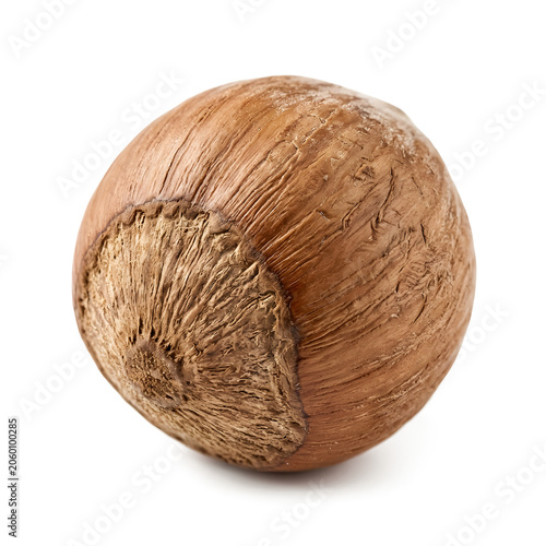 Whole Hazelnut PNG