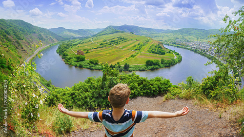 Canvastavla hiking on the Mosel, zell - Mosel loop from above
