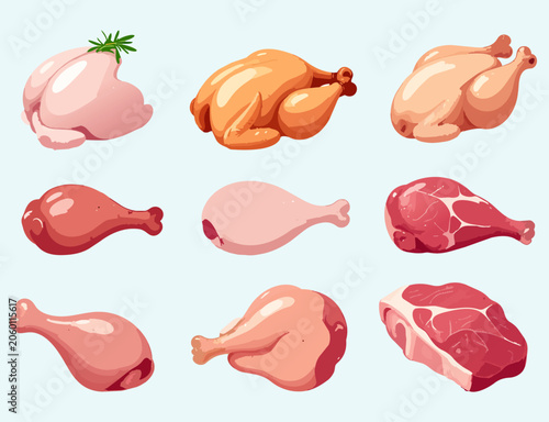 Fresh chicken meat vector set