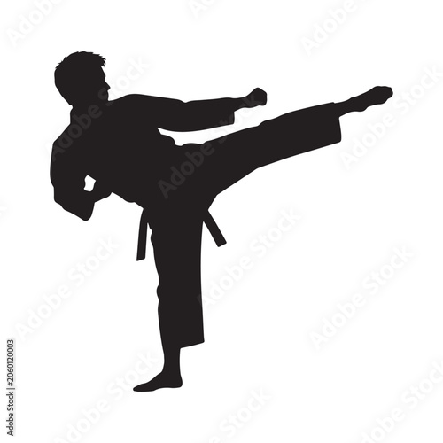 Karate man silhouette vector illustration of sport action dance pose with black shadow figure and martial arts movement