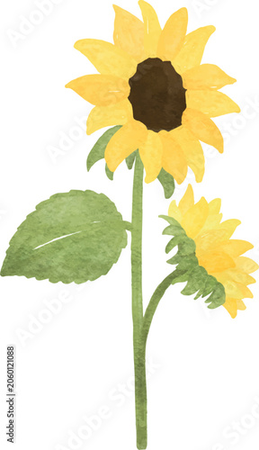 watercolor sunflower tree two branch hand painted decoration