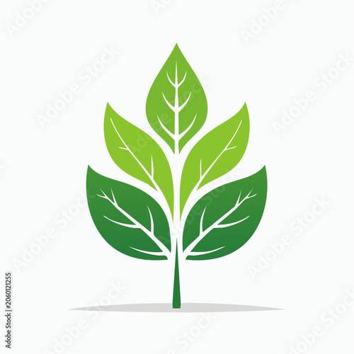 Green Leaf Logo Design