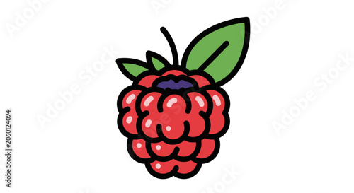 Vibrant vector illustration of a raspberry with leaves on white background