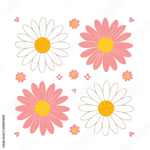 Flat Design Pink and White Daisy Flowers Illustration