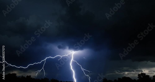 A Powerful Lightning Strike Illuminates the Dark Stormy Sky Over Silhouetted Trees