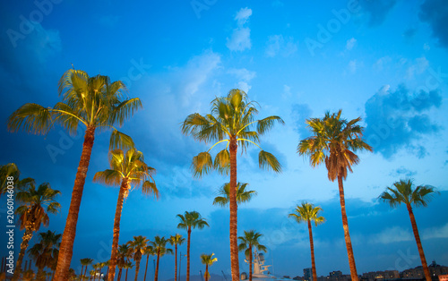 Colorful landscape of the southern coast on the background of a magnificent sunset sky, Malaga, Spain