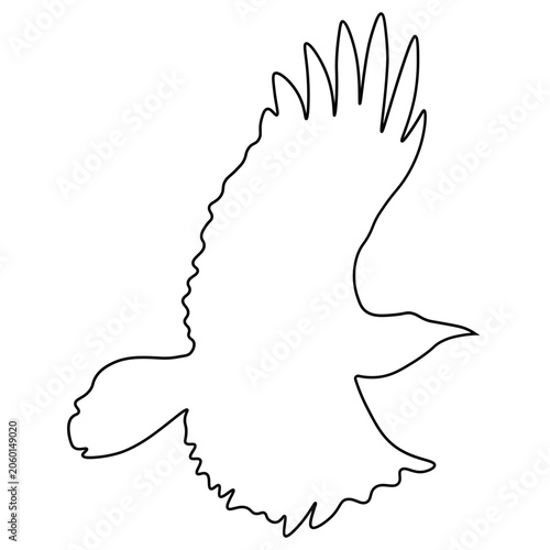 Crow Line Drawing.
