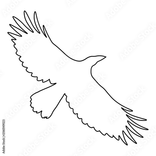 Crow Line Drawing.