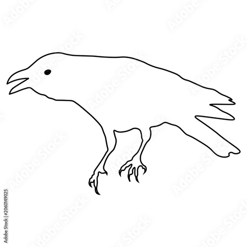 Crow Line Drawing.
