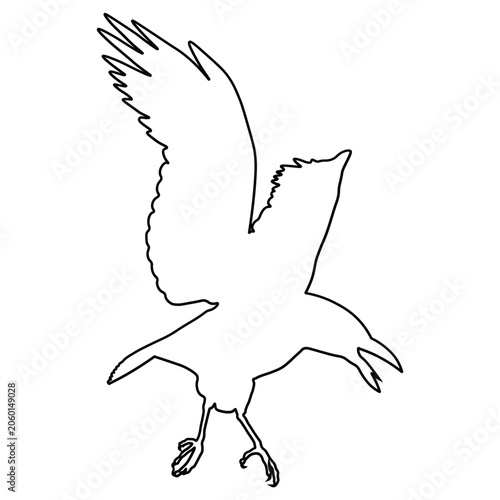 Crow Line Drawing.