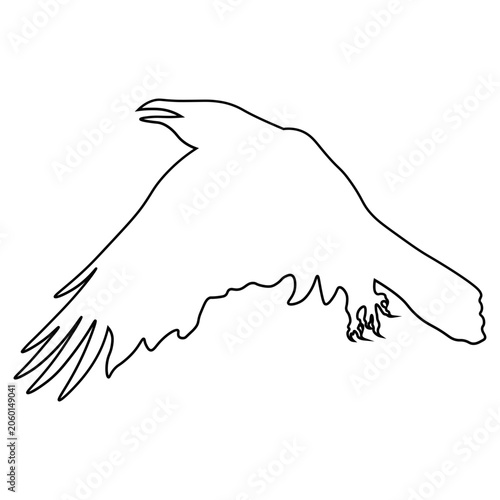 Crow Line Drawing.