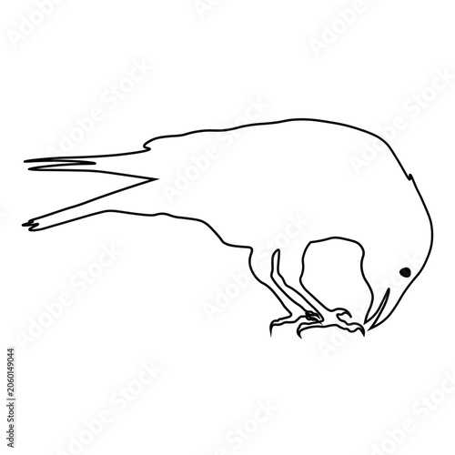 Crow Line Drawing.