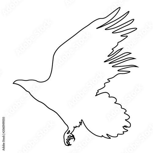 Crow Line Drawing.