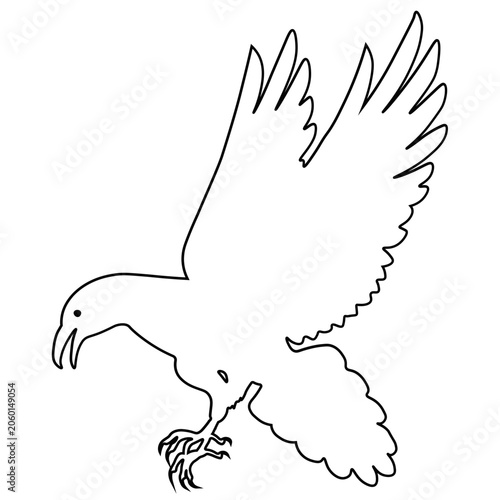 Crow Line Drawing.