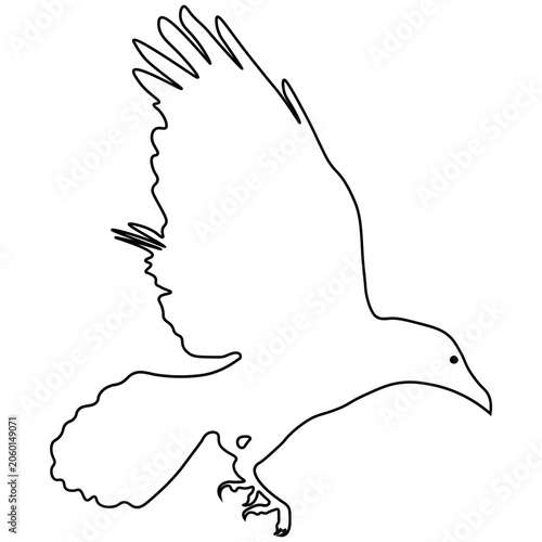 Crow Line Drawing.