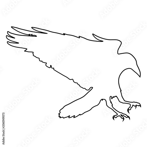 Crow Line Drawing.
