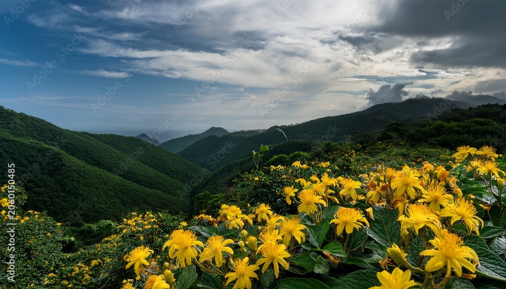 Fototapeta premium Close Up Shot Of Vibrant Yellow Flowers Blooming Amidst Lush Green Foliage Capturing The Beauty Of Nature In A Natural Setting