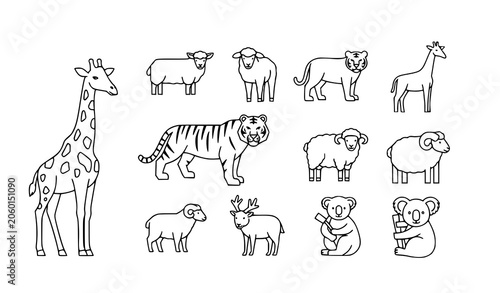 Photography Animals Thin Line Vector Icons Set with Giraffe Tiger Sheep and Koala Linear Wil