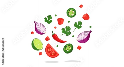 Floating Fresh Ingredients for Mexican Salsa Sauce Sliced Tomato Red Onion Chili Lime Jalapeno and Cilantro Illustration