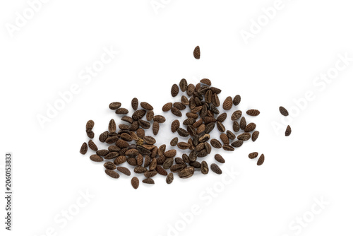 Phacelia seeds scattered on a clean white background. Top view of organic green manure and honey plant seeds with copy space