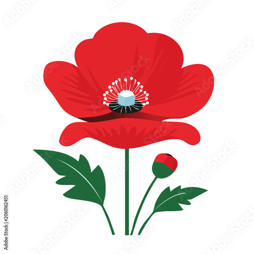 Red poppy flower vector illustration
