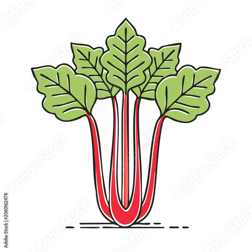 Red tulip flower vector illustration