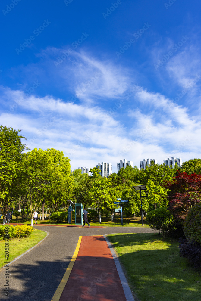 Fototapeta premium Sunny Urban Park Path Under Blue Sky