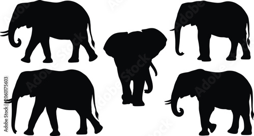 Tableau sur toile Elephant silhouette collection featuring african and asian elephants walking and